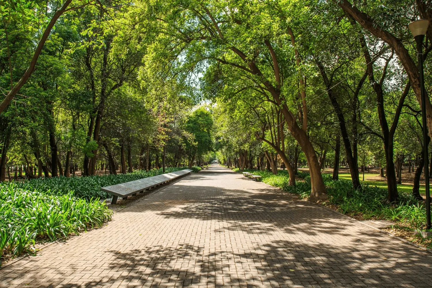 Bosque De Chapultepec