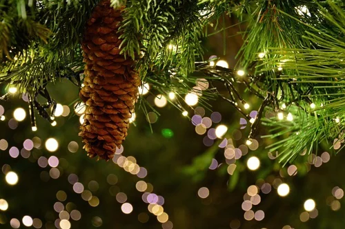 Christmas Garland 3891232 640 Christmas Garland 3891232 640