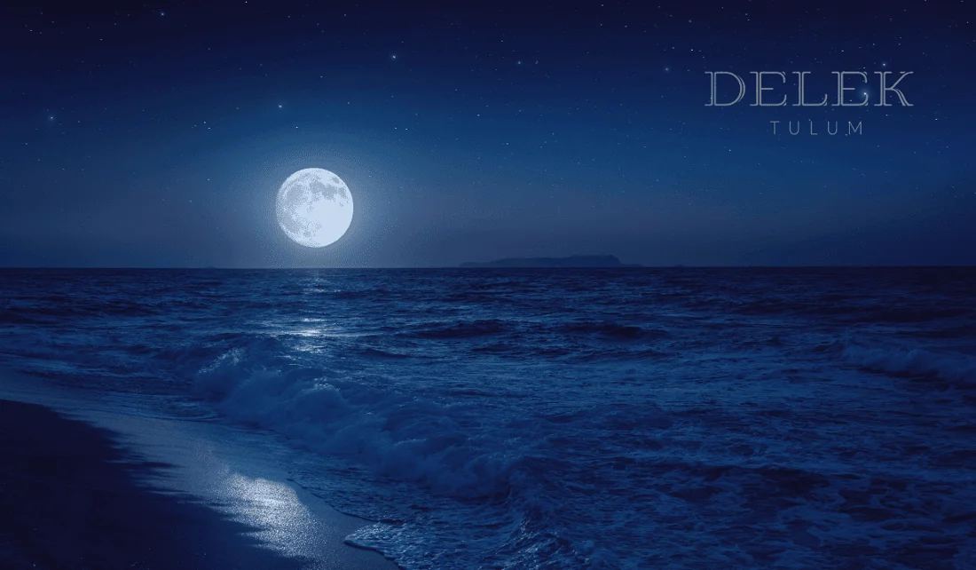 Delek Blog 1