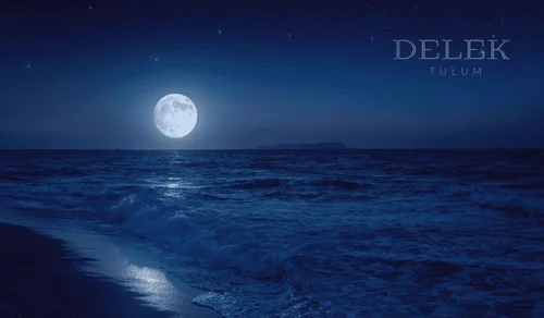 Delek Blog 1 Delek Blog 1
