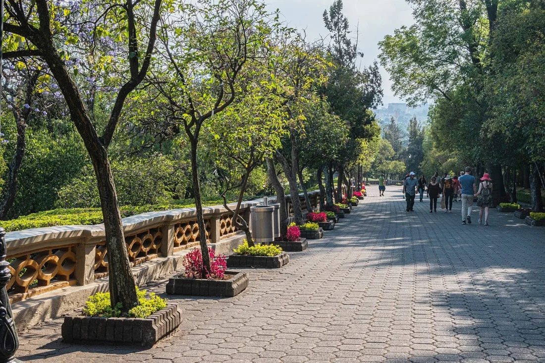 Path 4975320 1280
