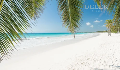 Blog Delek Tulum Marzo Blog Delek Tulum Marzo