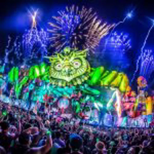 Electric Daisy Hotel Escandon 150X150 Electric Daisy Hotel Escandon 150X150