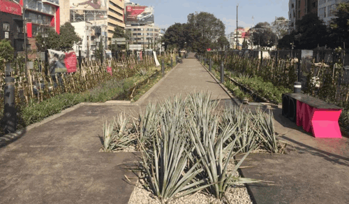 Viaducto  parque lineal de fomento de la biodiversidad con jardines de lluvia, vegetación, un museo de plantas acuáticas